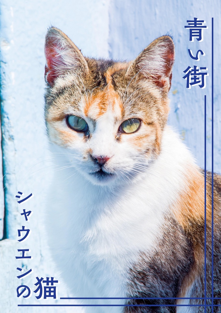 【ポストカード付き】青い街シャウエンの猫