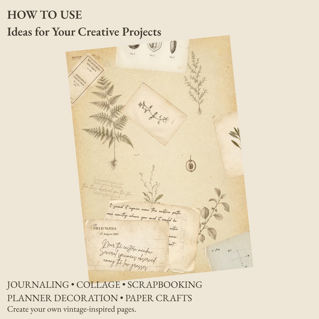 BOTANICAL ARCHIVE|ヴィンテージ植物図鑑風 デジタルペーパー&コラージュ素材