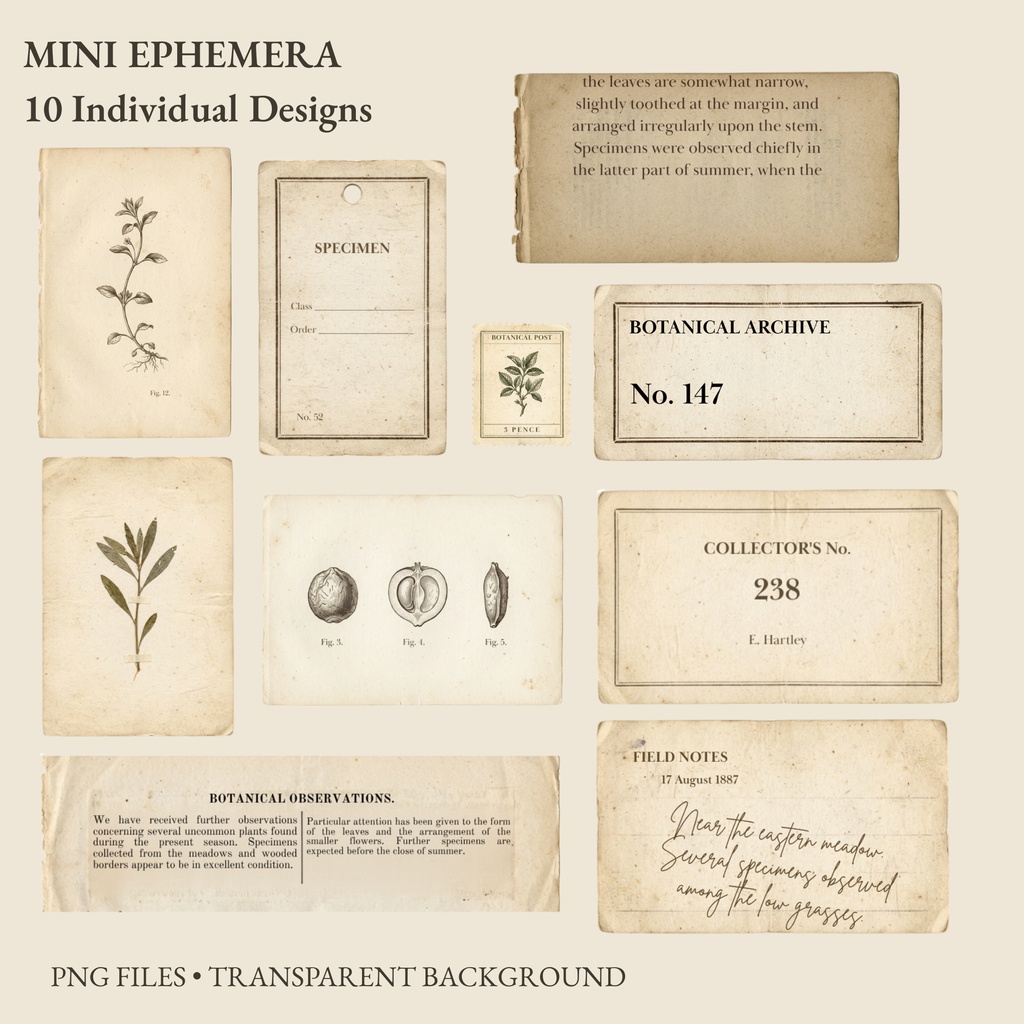 BOTANICAL ARCHIVE|ヴィンテージ植物図鑑風 デジタルペーパー&コラージュ素材