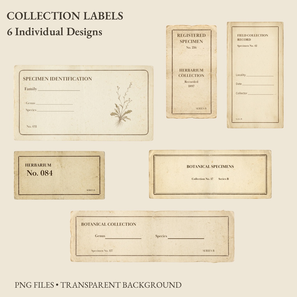 BOTANICAL ARCHIVE|ヴィンテージ植物図鑑風 デジタルペーパー&コラージュ素材