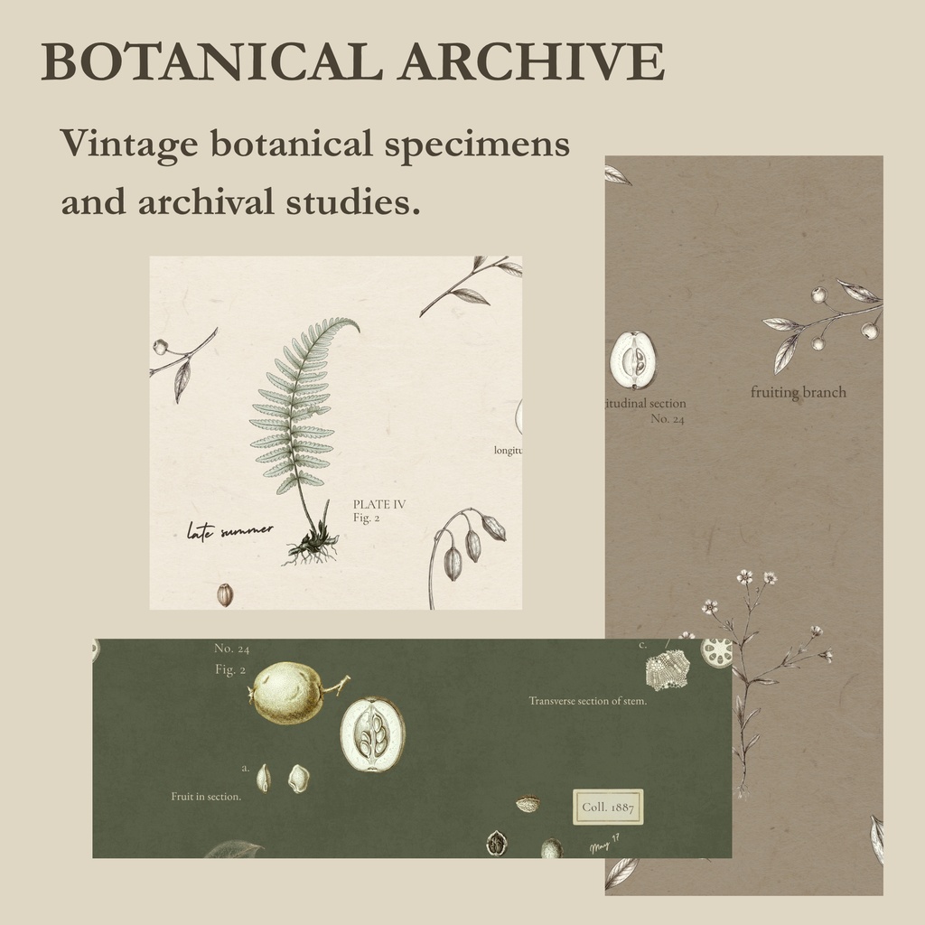 VINTAGE ARCHIVEーBotanical & Letter|デジタルペーパー8枚セット