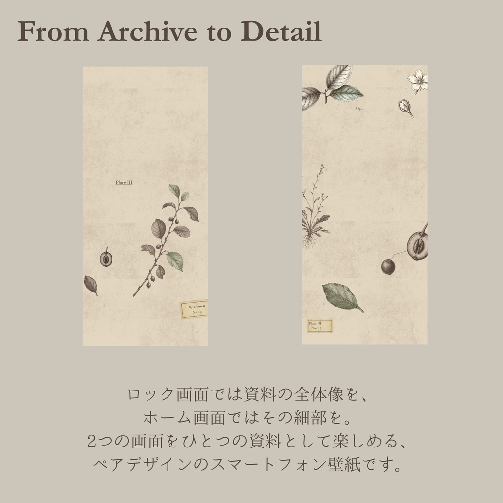 VINTAGE ARCHIVE — Quiet Archive|Smartphone Wallpaper Collection【無料】