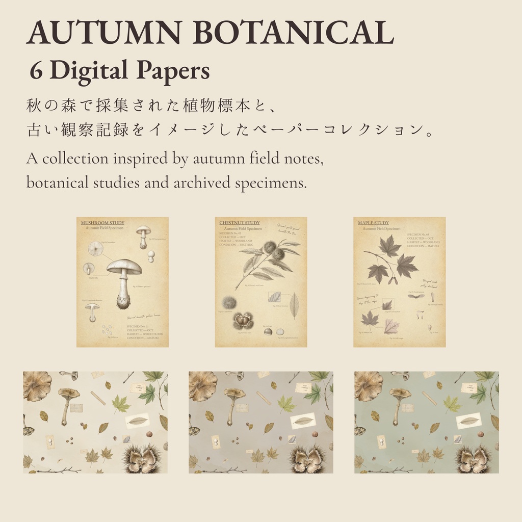 VINTAGE ARCHIVE — Paper Collection — Autumn Botanical|A4デジタルペーパー6枚