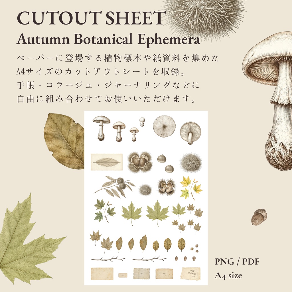 VINTAGE ARCHIVE — Paper Collection — Autumn Botanical|A4デジタルペーパー6枚