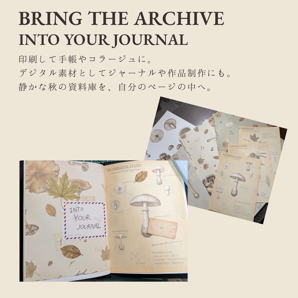 VINTAGE ARCHIVE — Paper Collection — Autumn Botanical|A4デジタルペーパー6枚