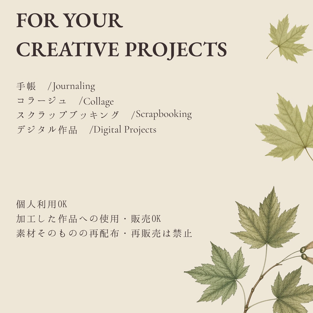 VINTAGE ARCHIVE — Paper Collection — Autumn Botanical|A4デジタルペーパー6枚