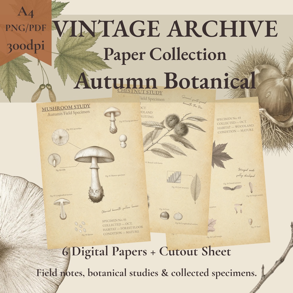 VINTAGE ARCHIVE — Paper Collection — Autumn Botanical｜A4デジタルペーパー6枚