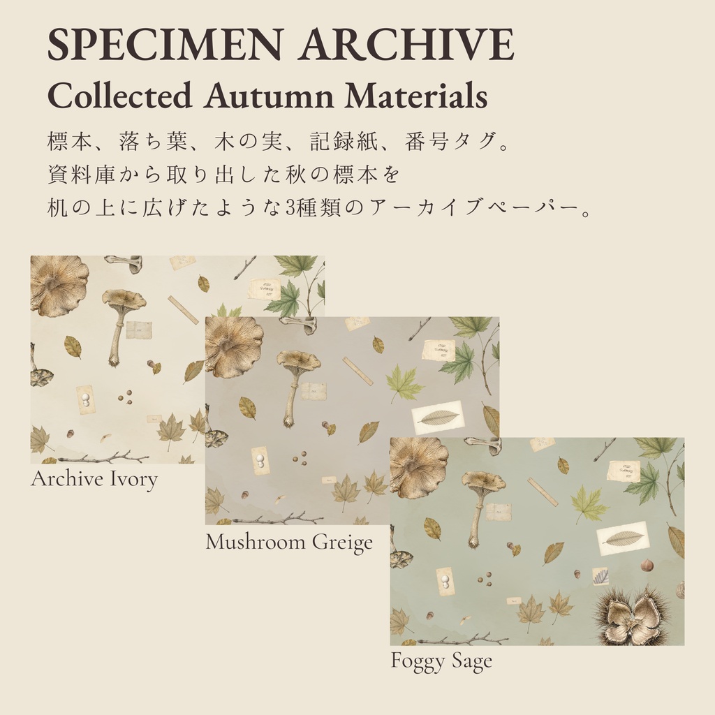 VINTAGE ARCHIVE — Paper Collection — Autumn Botanical|A4デジタルペーパー6枚