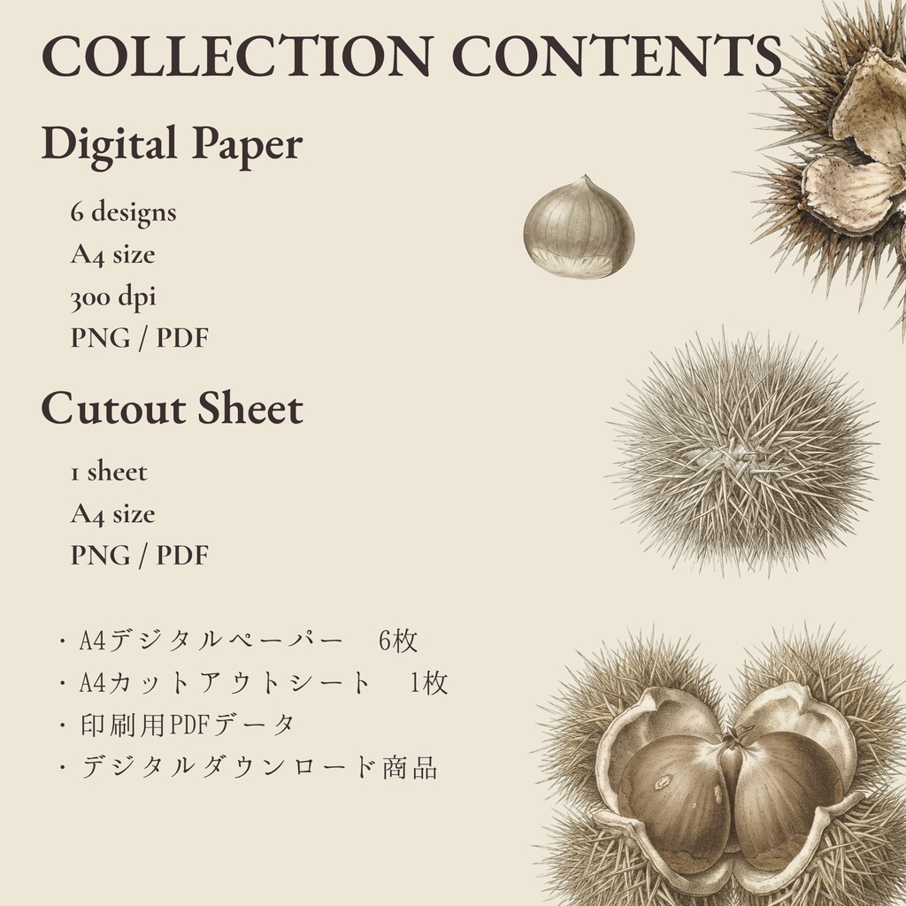 VINTAGE ARCHIVE — Paper Collection — Autumn Botanical|A4デジタルペーパー6枚