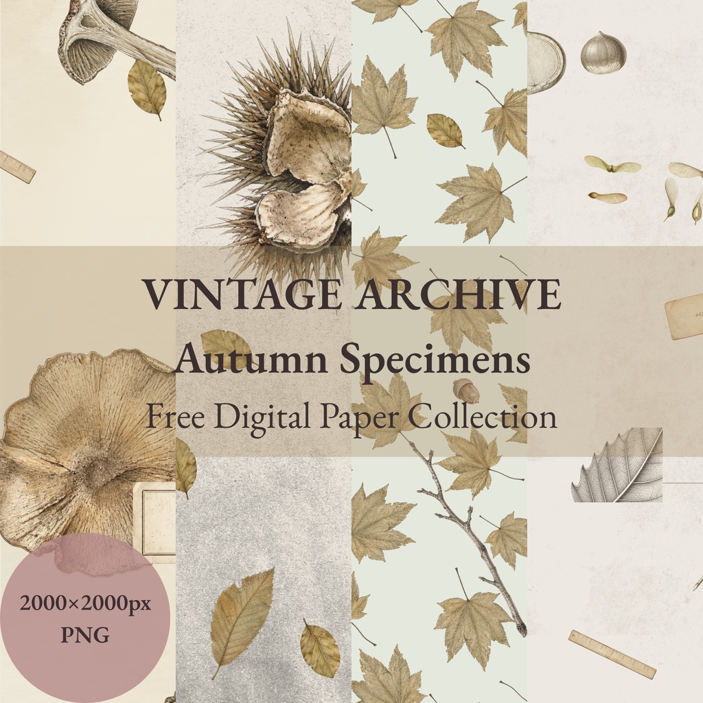 VINTAGE ARCHIVE Autumn Specimens 【無料】デジタルペーパー4枚