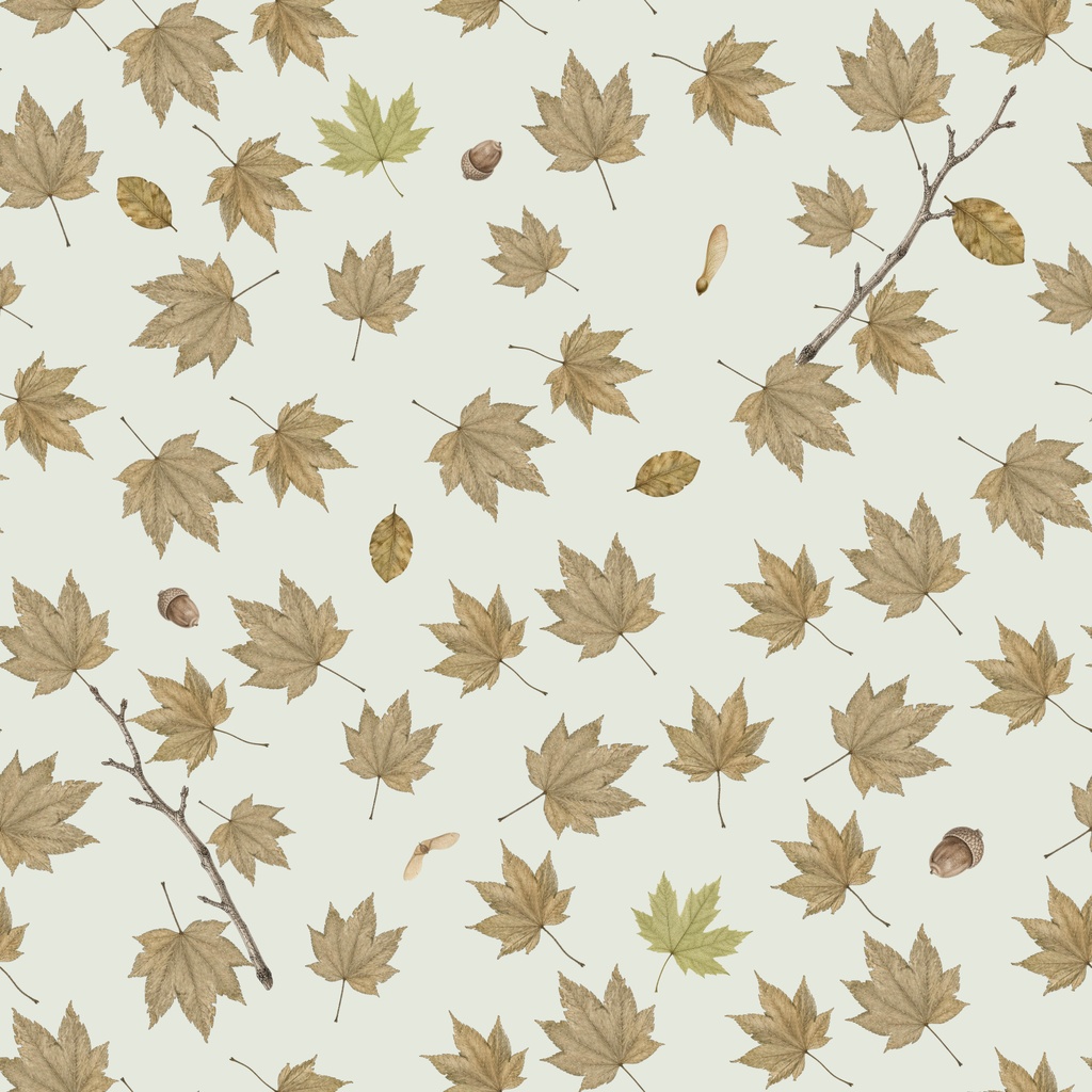 VINTAGE ARCHIVE Autumn Specimens 【無料】デジタルペーパー4枚