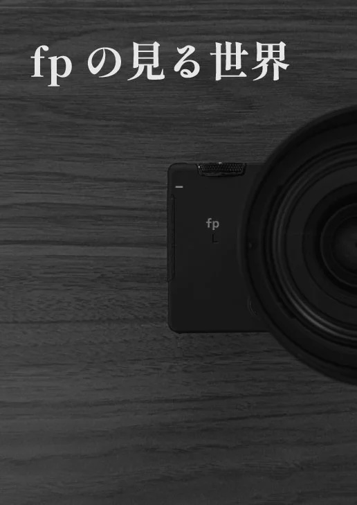 fpの見る世界