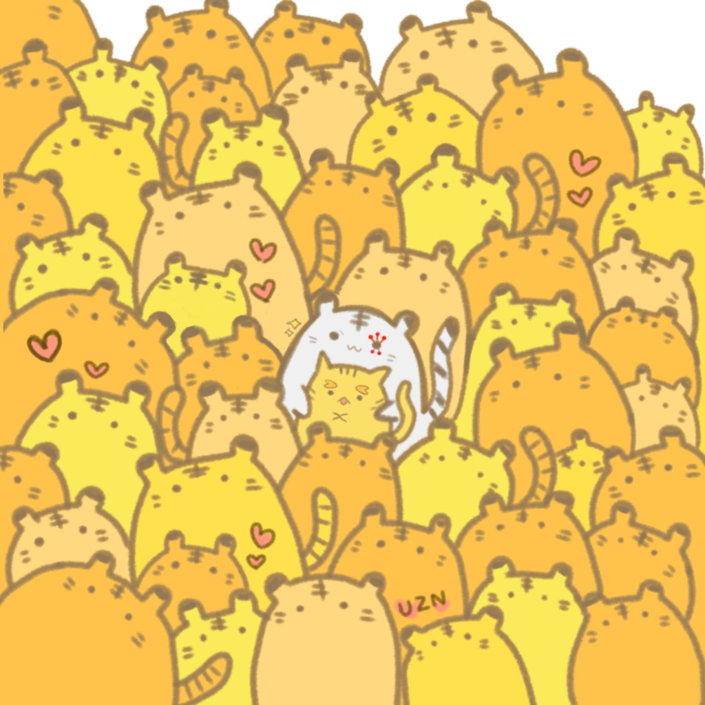 メガネクロス(2種)