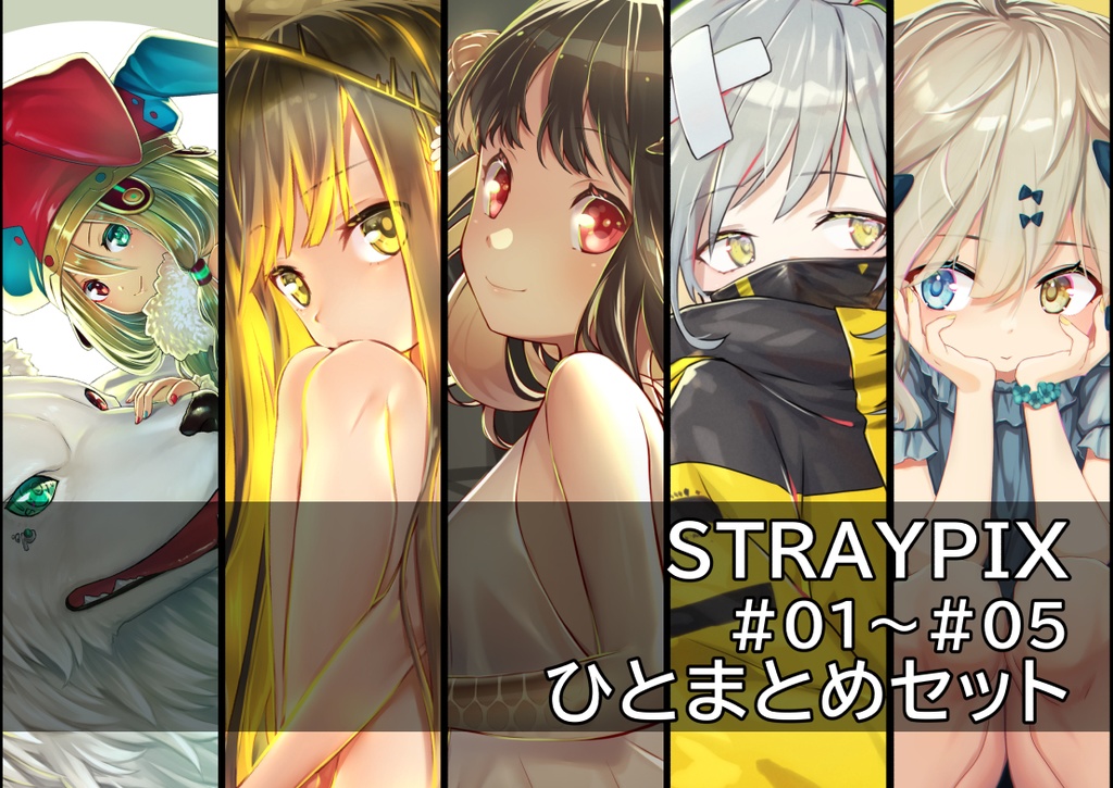 【合本】【イラスト集・PDF】STRAYPIX #01～#05