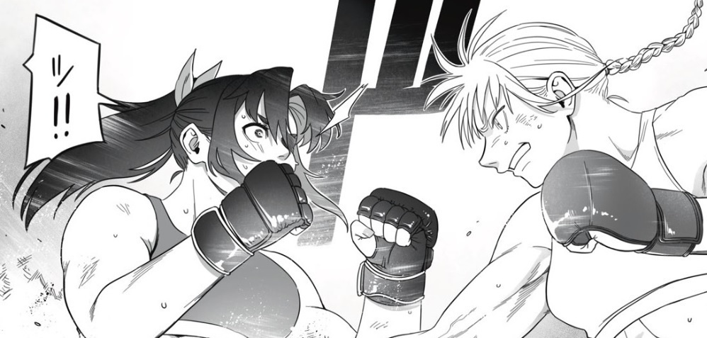 Fighting Extension1