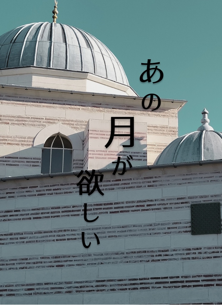 あの月が欲しい