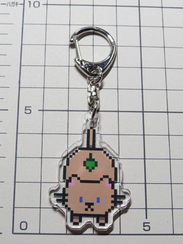 (コーティング有り) チョコ