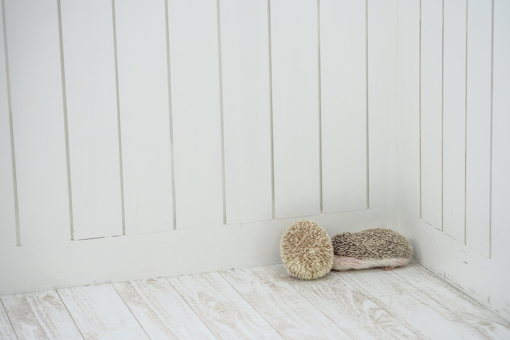 ありがち小スカ 117 仲直り