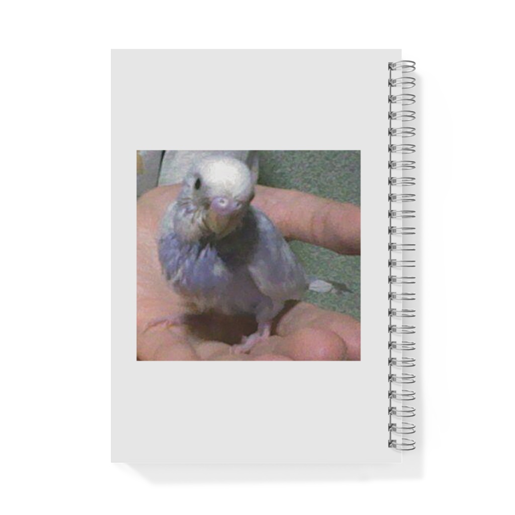 キィ ブランドのリングノート