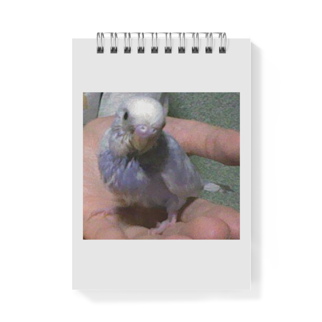 キィ ブランドのメモ帳