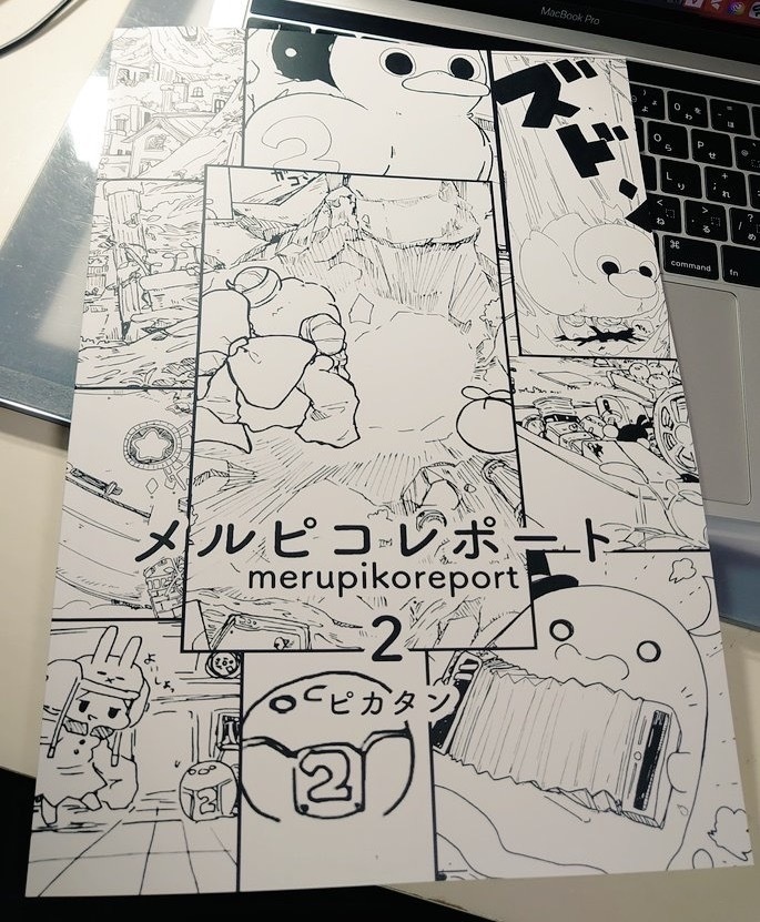 メルピコレポート2