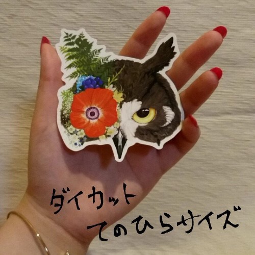 夢見るフクロウ【ステッカー】