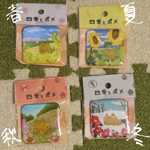 四季とポメ【スクエア缶バッジ】