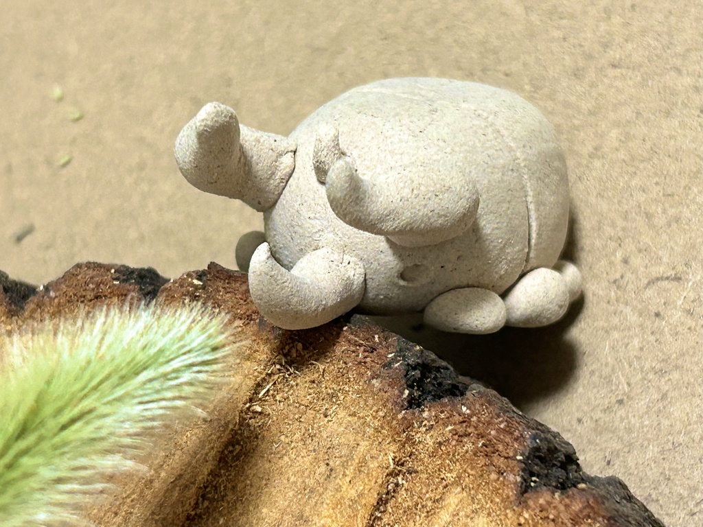 こーさすおおかぶと