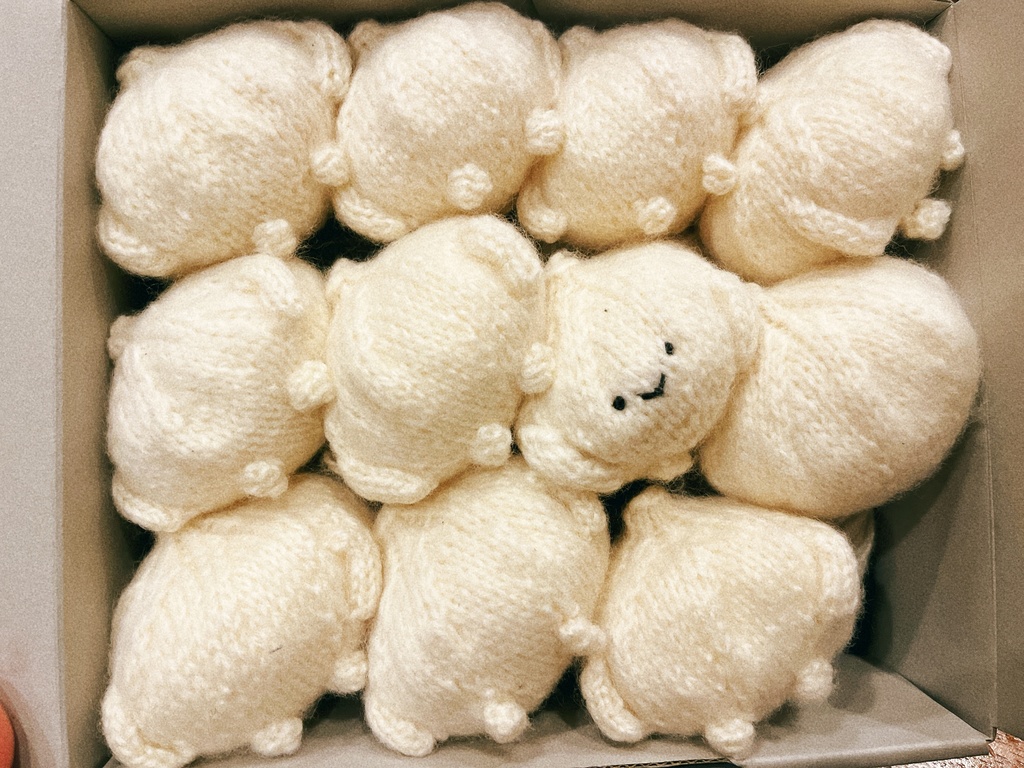 編みしょろんぽ(5さい)