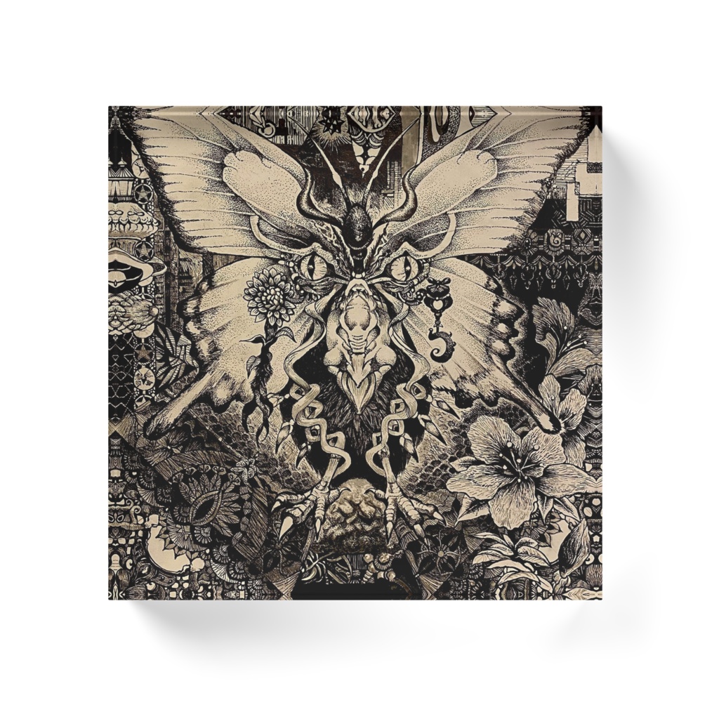 ミヤマガラス・アゲハ