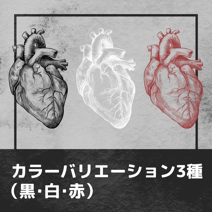 【APNG】拍動する心臓の線画