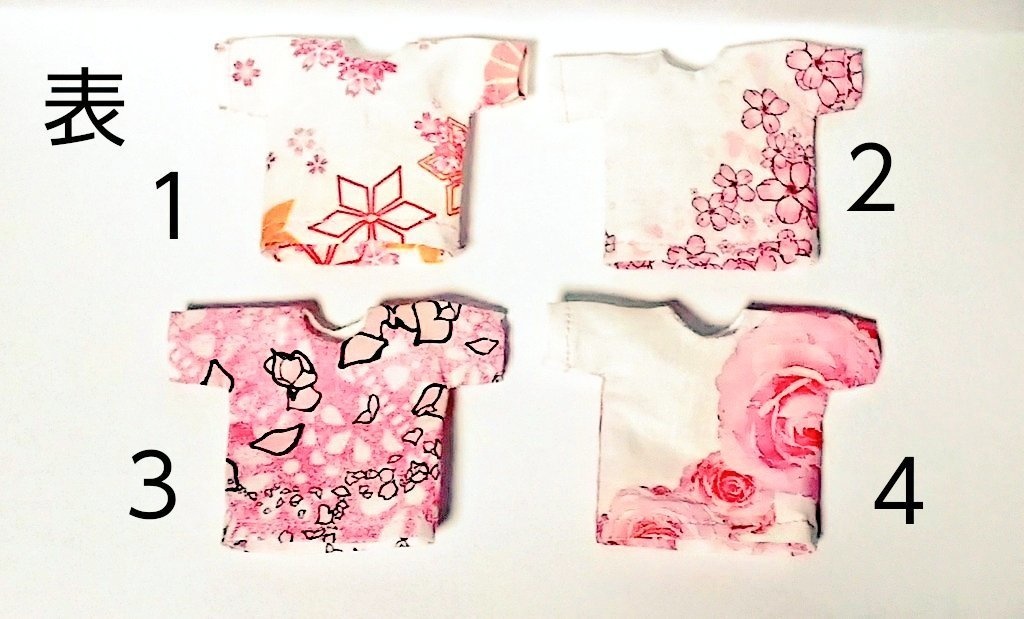 春っぽいTシャツ1