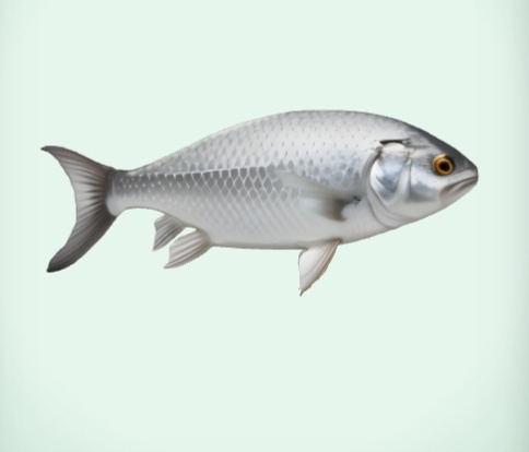 魚 Fish