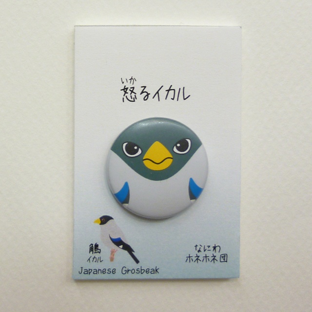 野鳥の缶バッジ 1