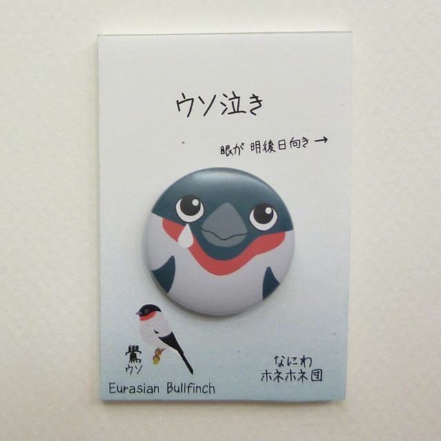 野鳥の缶バッジ 1