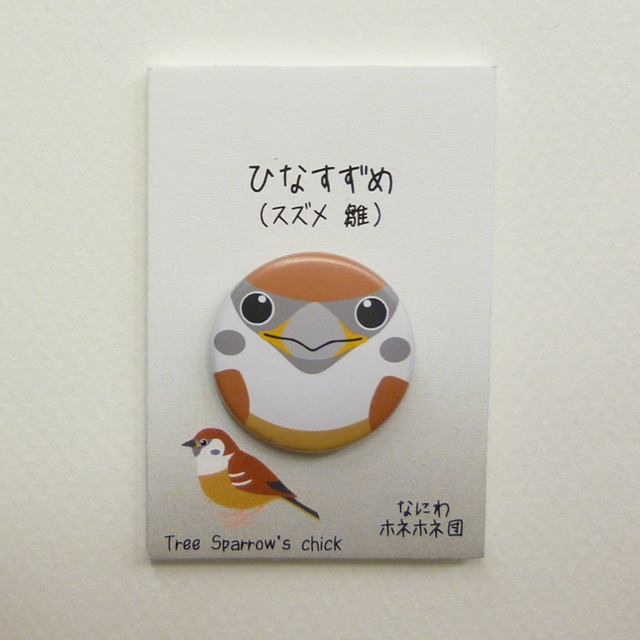 野鳥の缶バッジ 1