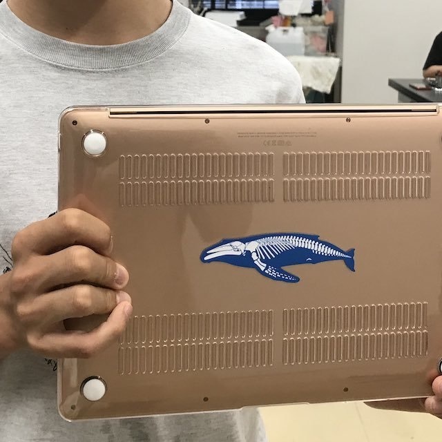 クジラのステッカー