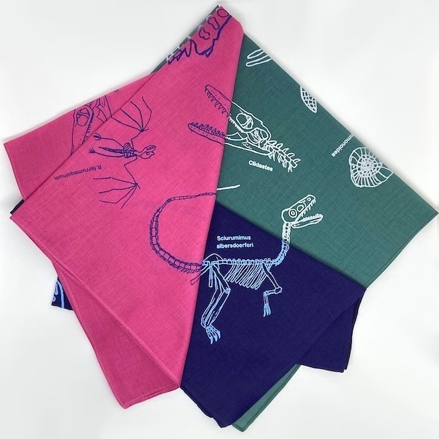 少年のすけっちバンダナ