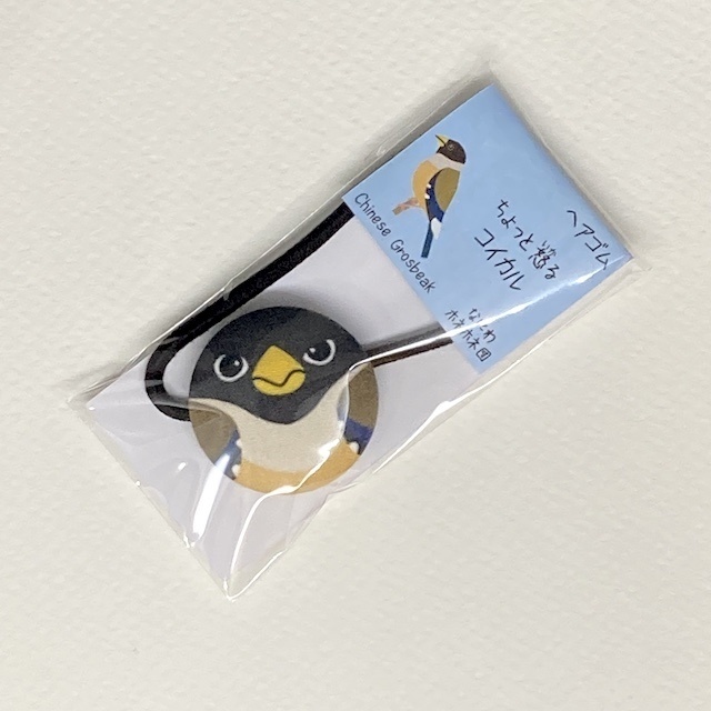 野鳥の缶バッジ & くるみボタンのヘアゴム 8