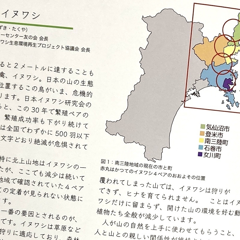 【寄付つき】絵本『イヌワシの棲む山』 /  イヌワシ親子バッジ