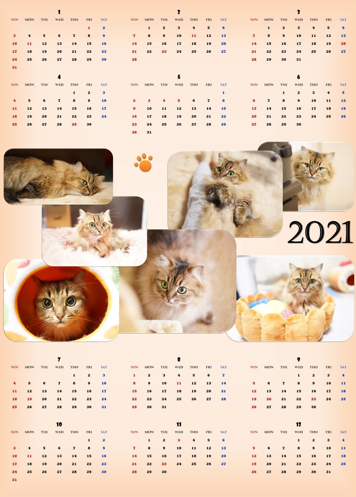 猫氏カレンダー21 猫酸の猫氏 Booth