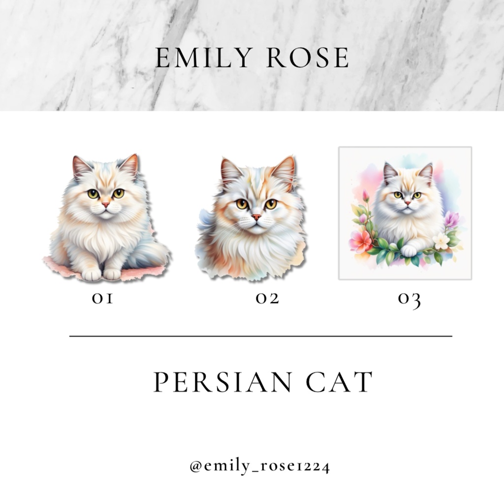 【ねこ素材】Persian cat / ペルシャ猫 /透過PNG /〈全3種〉※無料