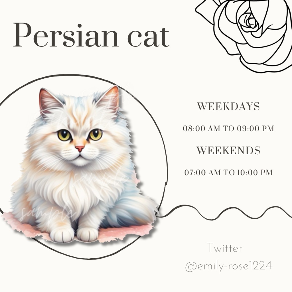 【ねこ素材】Persian cat / ペルシャ猫 /透過PNG /〈全3種〉※無料