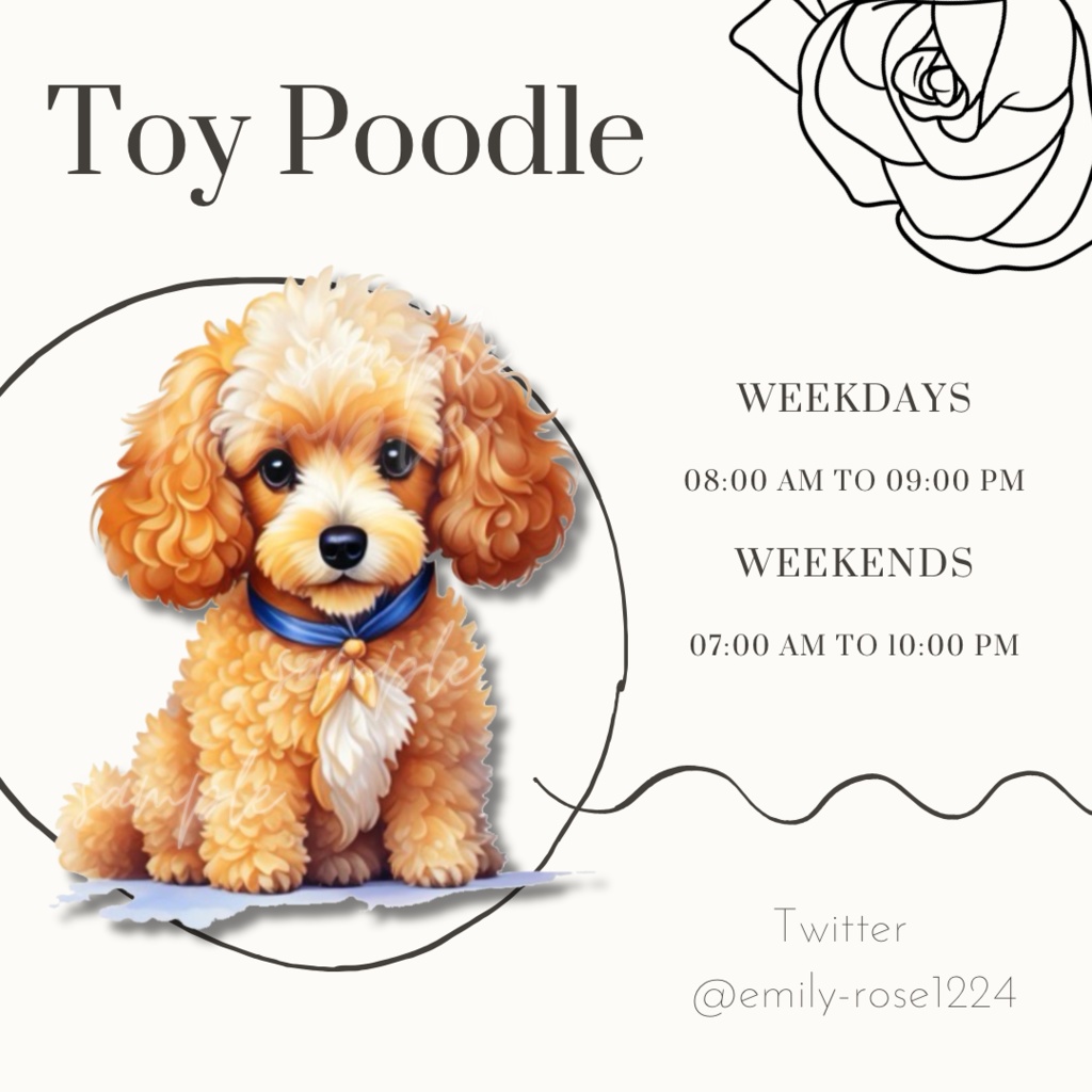 【犬 素材】Toy Poodle / トイプードル / 透過PNG  