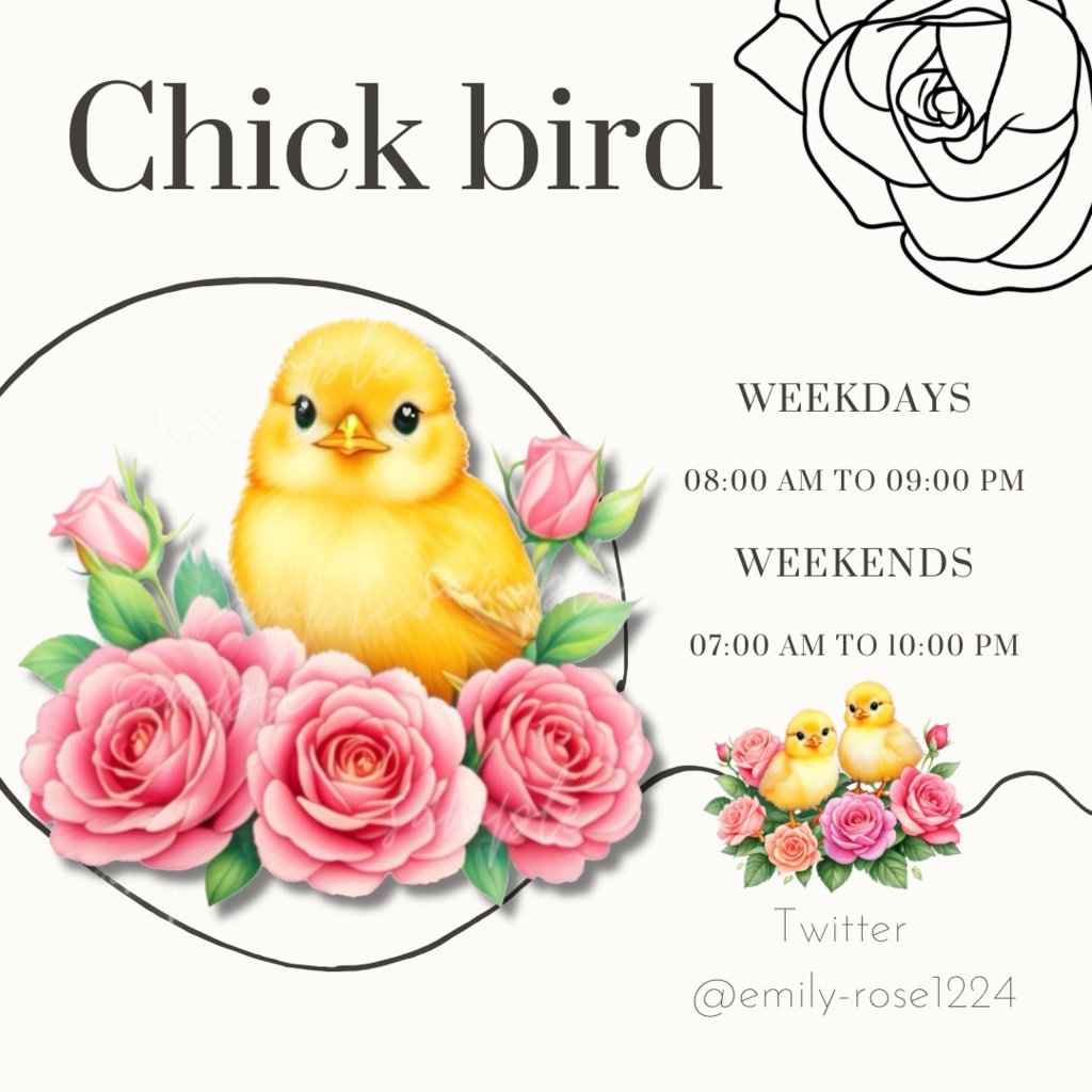 【ひよこ 素材】Chick bird / ヒヨコ / 透過PNG /全2種