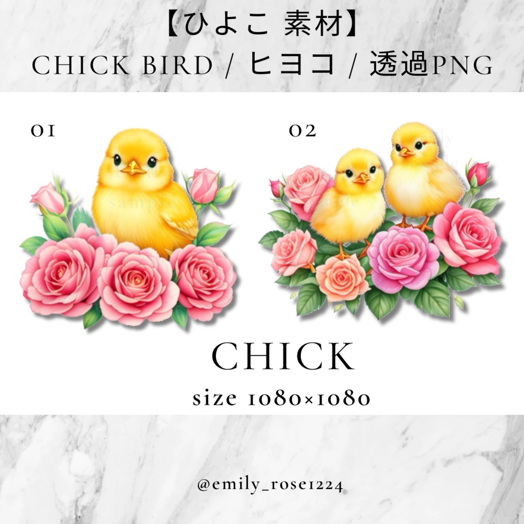 【ひよこ 素材】Chick bird / ヒヨコ / 透過PNG /全2種