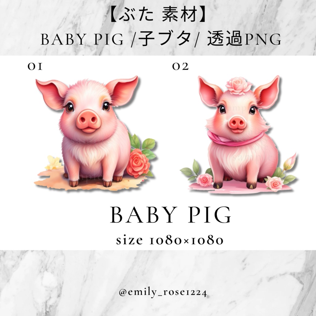 【ぶた 素材】 Baby PIG /子ブタ/ 透過PNG /全2種