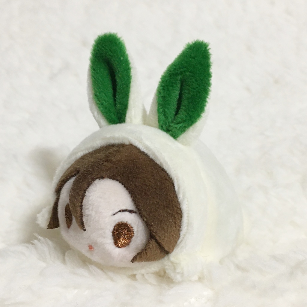 もちマスミニ着ぐるみ うさぎ ミルク&グリーン