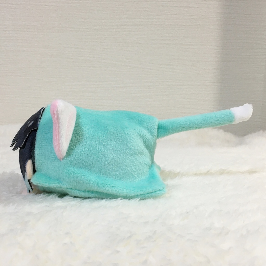 もちころりん/もちマス着ぐるみ ねこ ミントグリーン&ホワイト