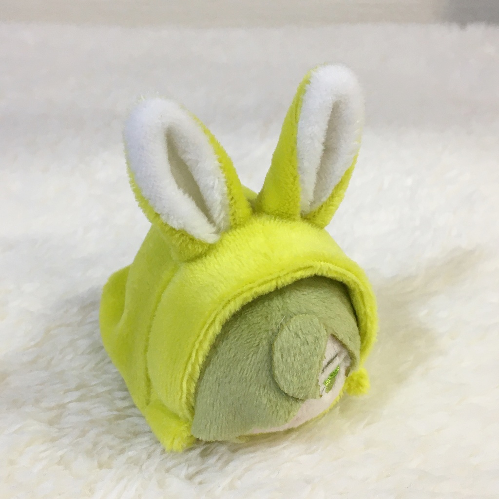 もちマスミニ着ぐるみ うさぎ 若草色